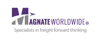 magnate worldwide logo